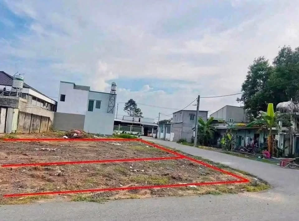 Bán đất 100m2 giá 800 triệu gần cầu Bạch Đằng 2, Bình Dương - Ảnh 1