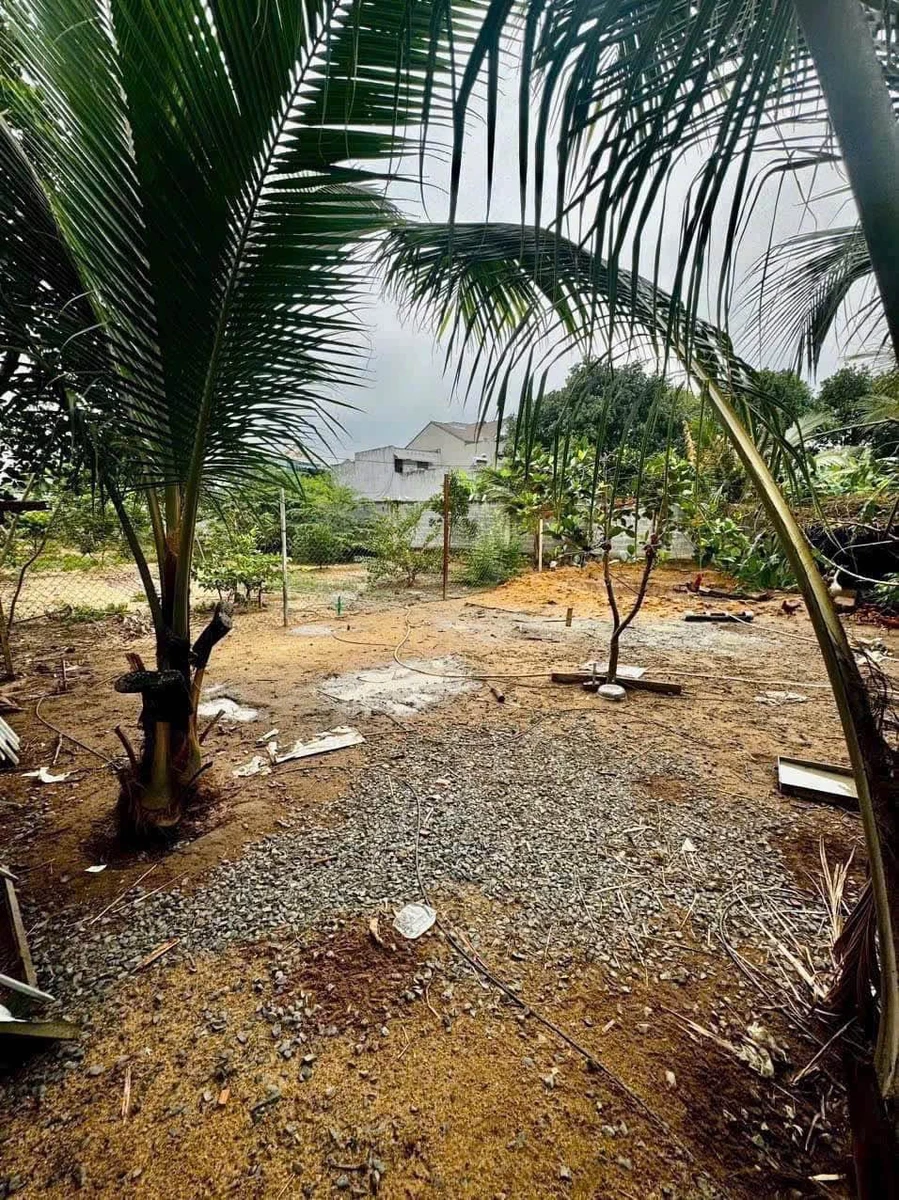 Bán lô đất biệt thự 750m² Trảng Dài, Biên Hòa, 8.3 tỷ - Ảnh thu nhỏ 5