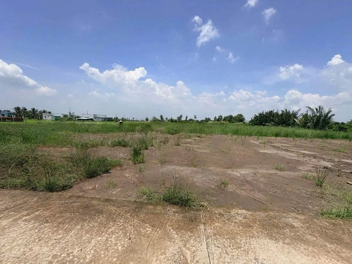 Bán đất thổ cư 5x19m Tân Phú 330 triệu - Ảnh thu nhỏ 2