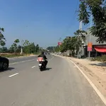 Bán lô đất 2 mặt tiền Bách Lẫm Bình Chánh 127.79m² - Ảnh thu nhỏ 3