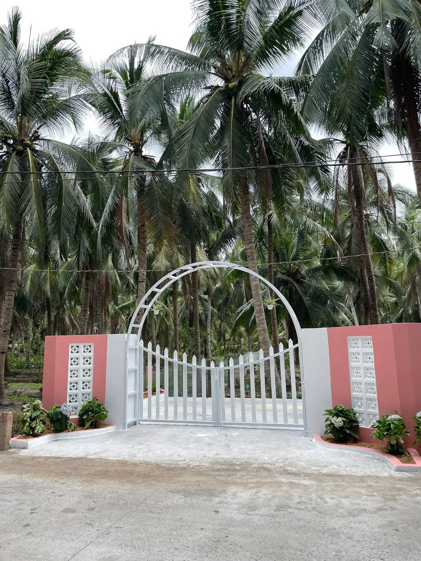 Bán đất vườn 150m2 có 100m2 thổ cư, đủ cây ăn trái, giá 295 triệu tại Tân Phú Đông, Tiền Giang - Ảnh 1