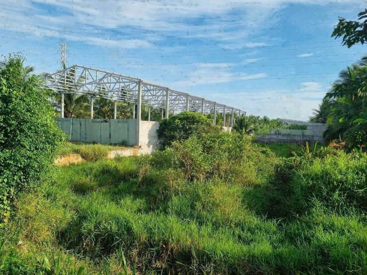 Bán đất mặt tiền Sơn Hòa 382m², Bến Tre, 2.2 tỷ - Ảnh thu nhỏ 3