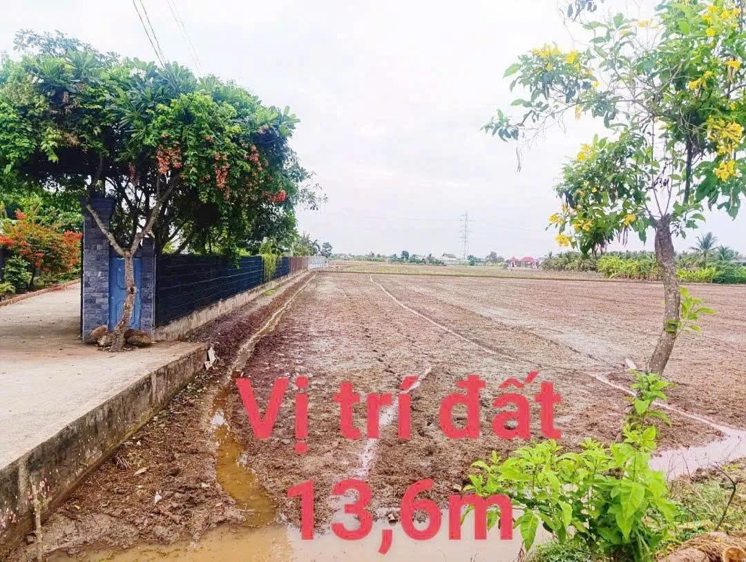 Bán 1000m2 đất lúa mặt tiền nhựa 833C, Quê Mỹ Thạnh, Tân Trụ, Long An - Ảnh thu nhỏ 5