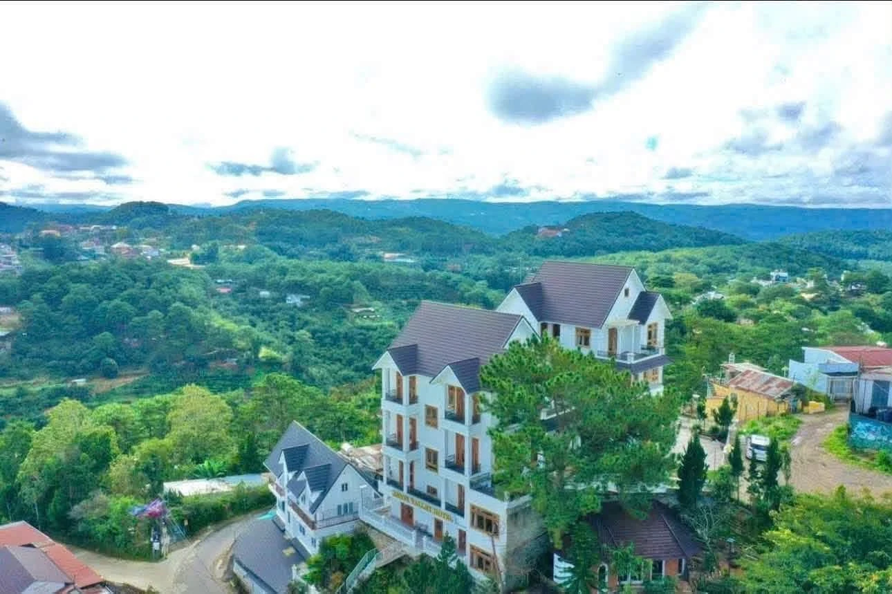Bán villa view rừng thông Đà Lạt 913m², 35 tỷ - Ảnh 1