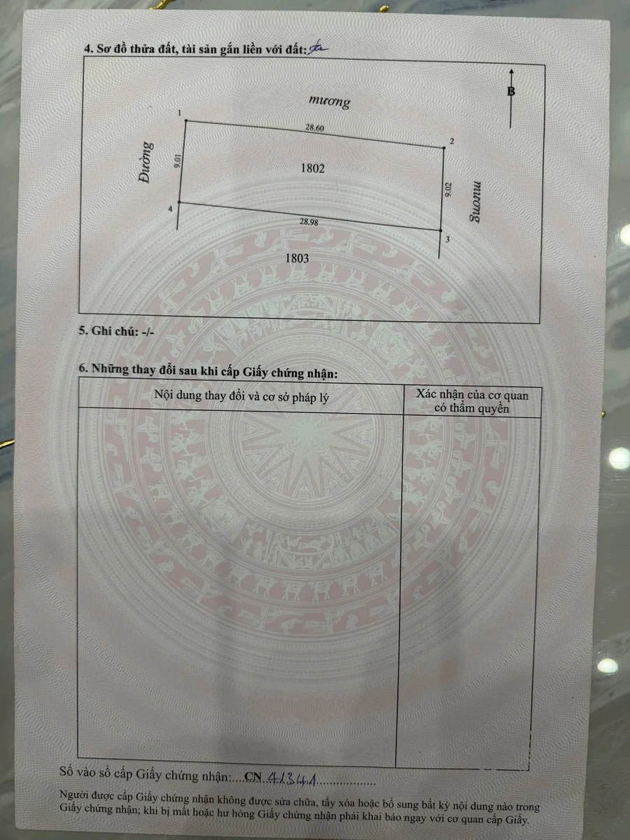 Bán đất full thổ cư 260m2 Đông Lộc - Ảnh thu nhỏ 2