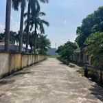 Bán lô đất Xã Mao Điền, Hải Phòng, 96m2, mặt tiền 6m - Ảnh thu nhỏ 4