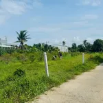 Bán đất full thổ cư 117m² Tây Ninh 579 triệu - Ảnh thu nhỏ 4