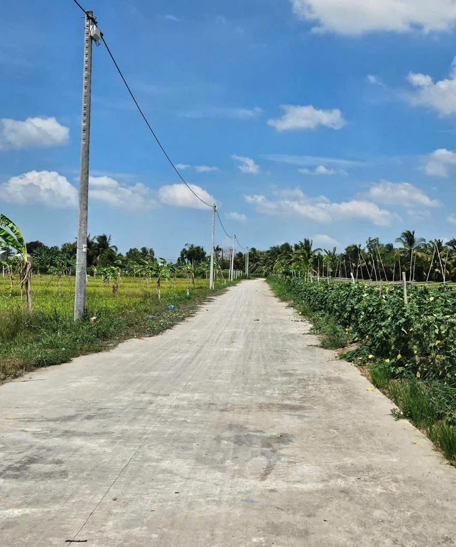 Bán 2081m2 đất Nhánh Kênh 5, Thạnh Lộc, An Giang - Ảnh thu nhỏ 3