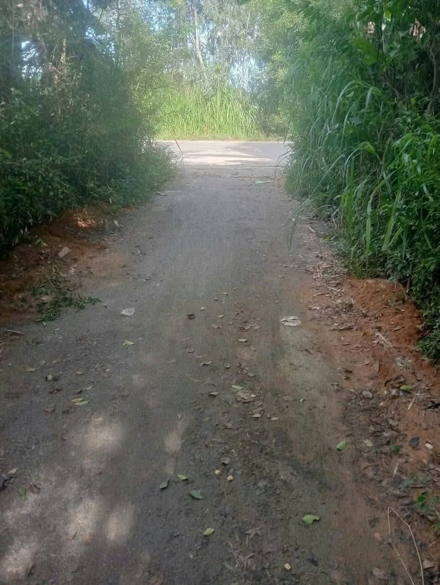 Bán 2 lô đất thổ cư 6x19m gần Tịnh Ấn Tây, Hóc Môn - Ảnh 1
