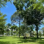 Khu DVHH VSIP Quảng Ngãi. Giá trị thực là chất lượng cuộc sống không phải số đo diện tích! - Ảnh thu nhỏ 21