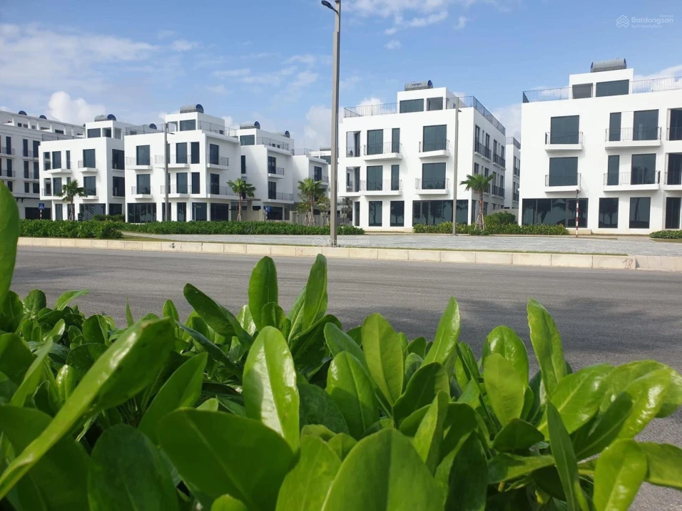 Cần bán gấp lô biệt thự DT 252m2 tại dự án Vlasta Sầm Sơn, Thanh Hóa - Ảnh thu nhỏ 4