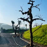 SIÊU PHẨM LẠC THỦY - GIÁP NINH BÌNH - CÁCH HÀ NỘI 65KM - Ảnh thu nhỏ 24
