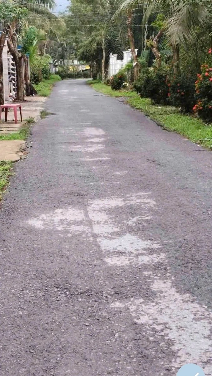 Bán đất nền mặt tiền lộ nhựa 300m2 tại Tân Thành Bình, Mỏ Cày Bắc, Bến Tre - Ảnh 1