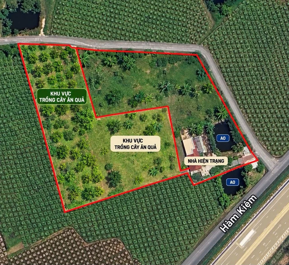 Bán nhất vườn 10.000m² gần Novaworld Phan Thiết 4 tỷ - Ảnh 1