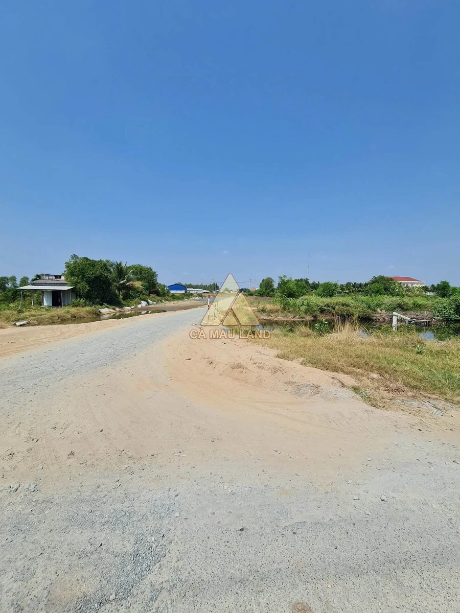 Bán đất thổ cư 648m2 đường nhựa ô tô Cà Mau 1.35 tỷ - Ảnh thu nhỏ 4