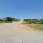 Bán đất thổ cư 648m2 đường nhựa ô tô Cà Mau 1.35 tỷ - Ảnh thu nhỏ 4