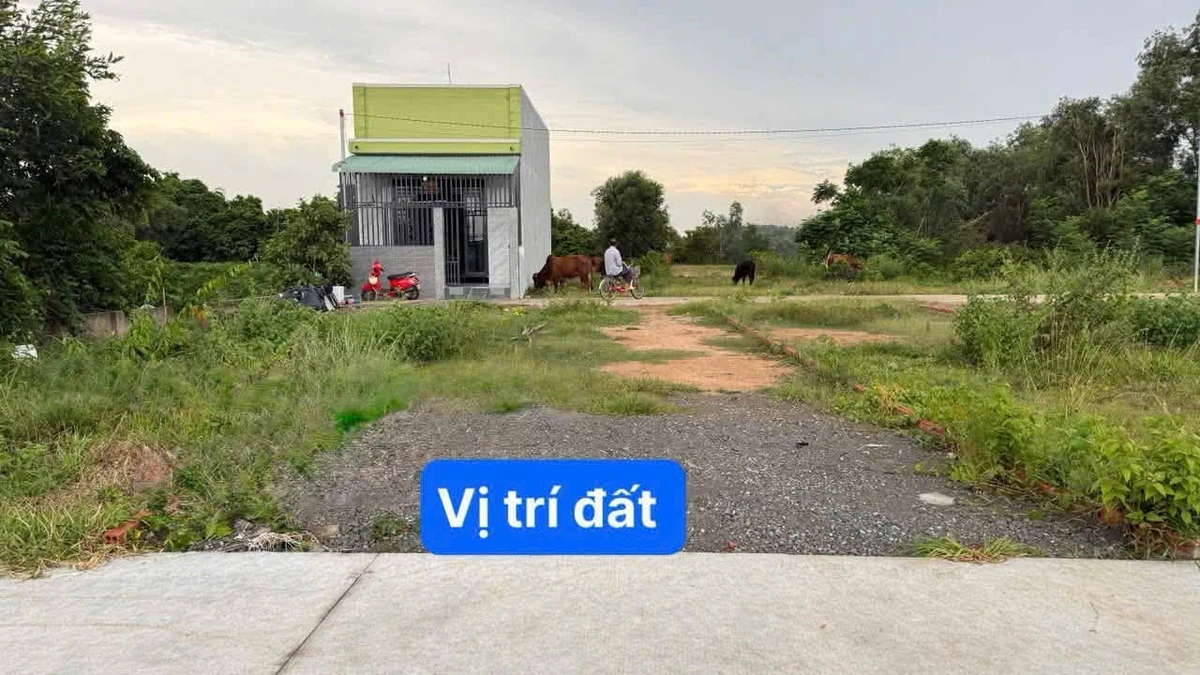 Bán đất 83m² Xã Vĩnh Thanh Nhà Bè 1 tỷ 650 - Ảnh thu nhỏ 4