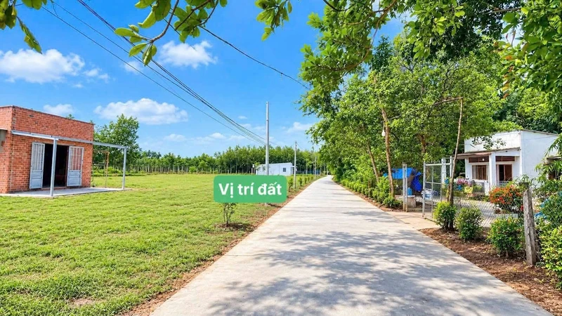 Bán đất Tân Khai Hớn Quản Đồng Nai 5000m2 giá 295 triệu