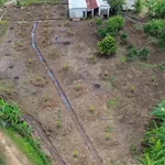 Bán đất vườn sầu riêng, ao cá tại Tà Lài, Đồng Nai 2,4 tỷ - Ảnh thu nhỏ 5