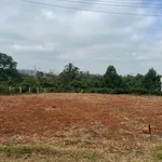 Bán đất Phường Eakao Cần Giờ 120m², 950 triệu - Ảnh thu nhỏ 3
