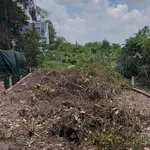 Bán đất Phú Đông 104m2, giá 1 tỷ 6 - Ảnh thu nhỏ 3