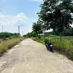 Bán đất THỔ CƯ 193m2 xây nhà trọ tại Nha Bích, 1 tỷ 2 - Ảnh thu nhỏ 3