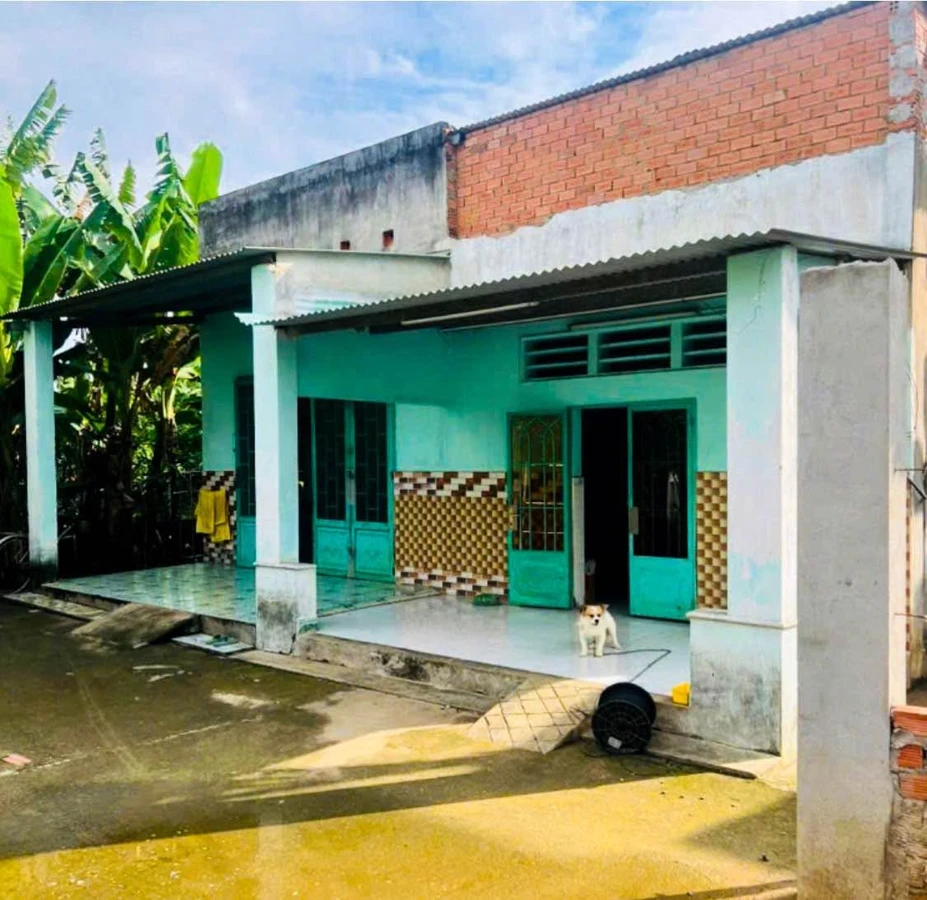 Bán nhà vườn 960m² Làng Bưởi Tân Triều, Đồng Nai - Ảnh 1