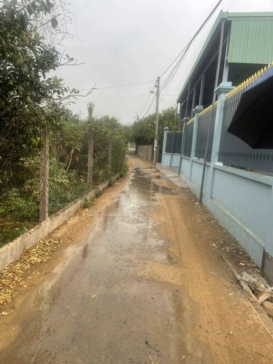 Bán lô đất 308,6m² Tân Triều Biên Hòa 2,4 tỷ - Ảnh thu nhỏ 2
