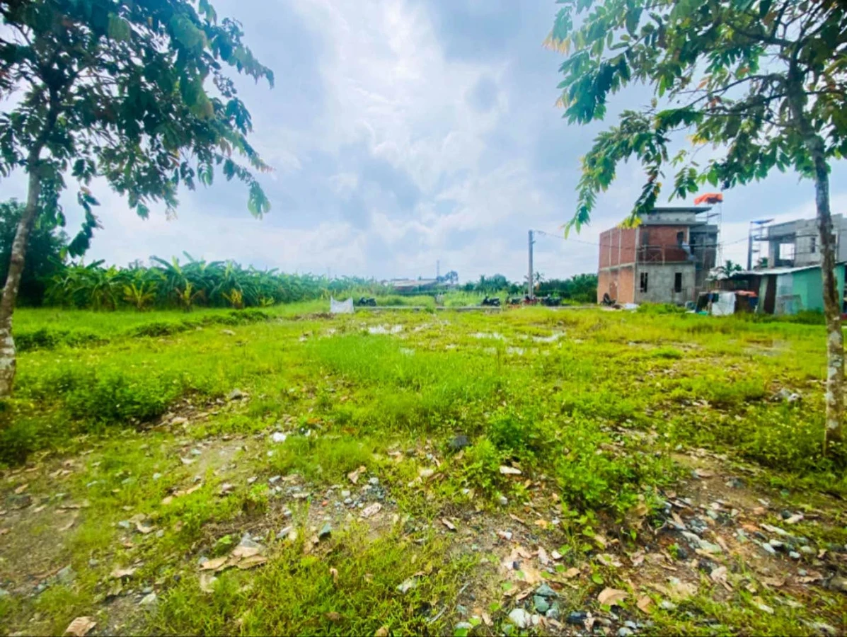 Bán đất mặt tiền Làng Bưởi Tân Triều Đồng Nai 135m2 - Ảnh thu nhỏ 3