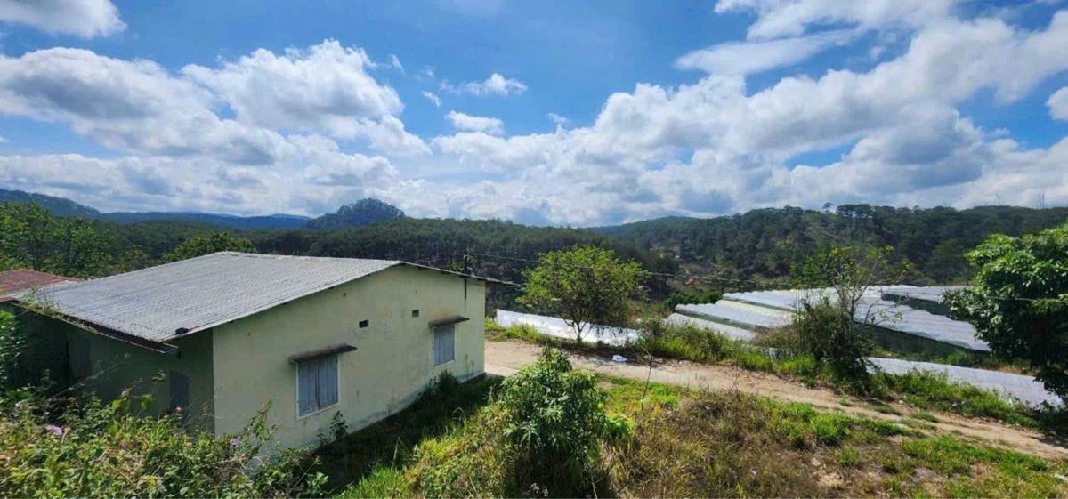 Bán lô đất 3000m² với nhà cấp 4, Xuân Thọ, Bình Dương - Ảnh thu nhỏ 5
