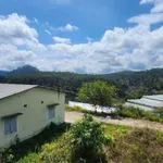 Bán lô đất 3000m² với nhà cấp 4, Xuân Thọ, Bình Dương - Ảnh thu nhỏ 5