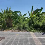 Bán lô đất Văn Tiến Dũng Tân Hưng 1000m2 11 tỷ 800 triệu - Ảnh thu nhỏ 4
