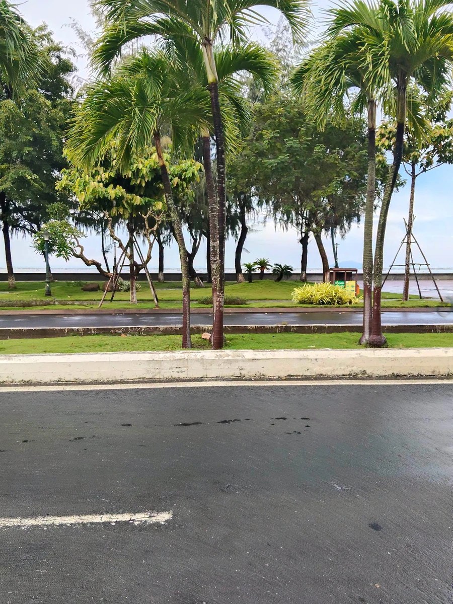 Bán đất nền mặt tiền đường Tôn Đức Thắng, view biển, 262,5m2, Rạch Giá - Ảnh thu nhỏ 3