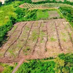 Bán đất nền 2,2 hecta (22.000m²) Đồng Nai giá 2 tỷ - Ảnh thu nhỏ 2