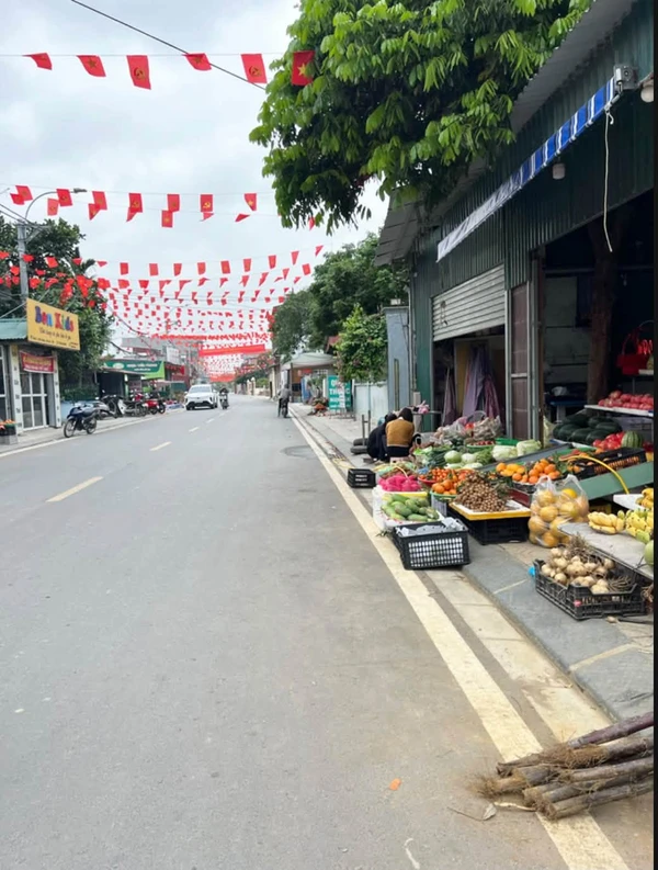 Bán đất nền 97.3m2 tại Xã Trường Tân, Gia Lộc, Hải Dương