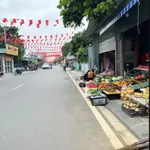 Bán đất nền 97.3m2 tại Xã Trường Tân, Gia Lộc, Hải Dương - Ảnh thu nhỏ 1