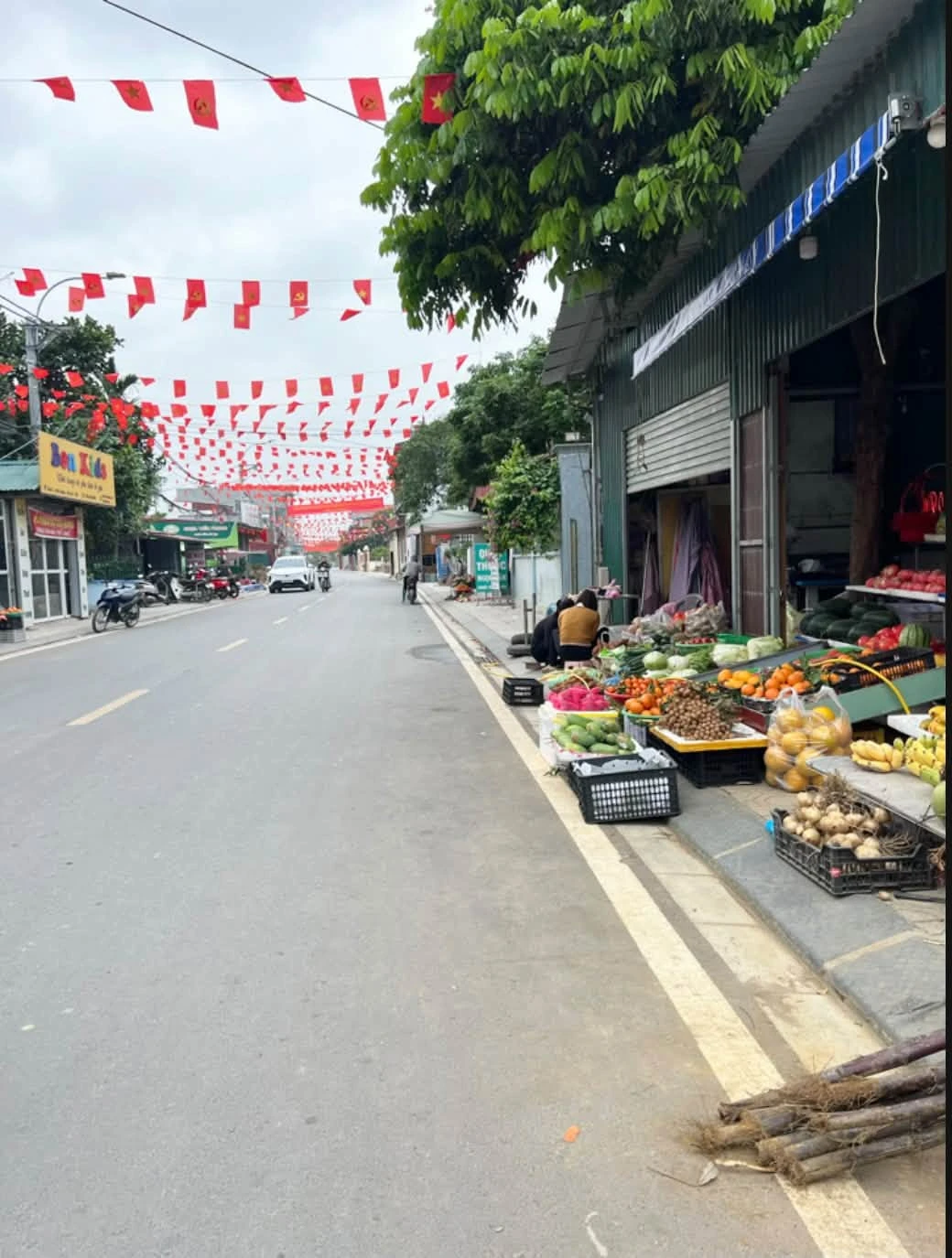 Bán đất nền 97.3m2 tại Xã Trường Tân, Gia Lộc, Hải Dương - Ảnh 1
