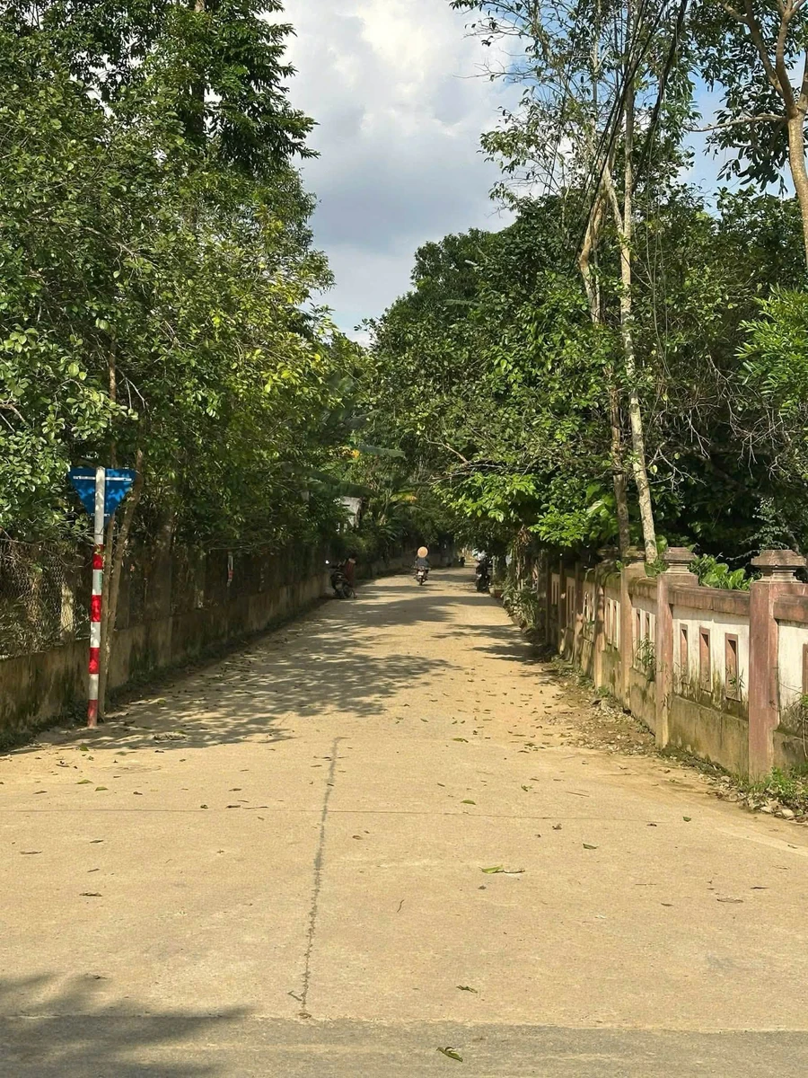 Bán nhà mặt tiền 100m2 Thân Văn Nhiếp, Huế - Ảnh thu nhỏ 3