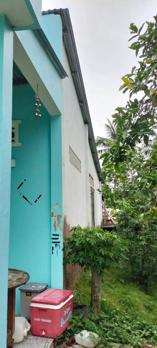 Bán nhà đất 755m² Châu Hòa Nhà Bè giá 550 triệu - Ảnh thu nhỏ 3