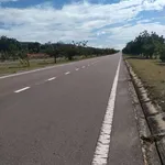 Bán 2 hecta đất mặt tiền ĐT.716 Phan Rí Cửa - 10 tỷ - Ảnh thu nhỏ 4