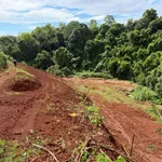 Bán đất đỏ 1 hectare gần khu dân cư, 1 tỷ - Ảnh thu nhỏ 1