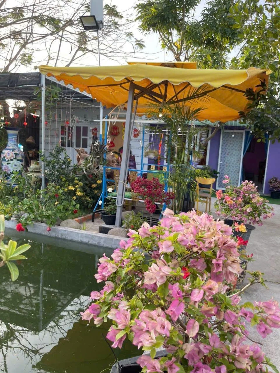 Bán khu nghỉ dưỡng gia đình 2,6 sào Hàm Thuận Nam Bình Thuận - Ảnh thu nhỏ 3