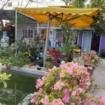 Bán khu nghỉ dưỡng gia đình 2,6 sào Hàm Thuận Nam Bình Thuận - Ảnh thu nhỏ 3