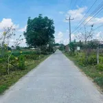 Bán đất Bình Đại, Bến Tre, 1.148m2, 1 tỷ 650 triệu - Ảnh thu nhỏ 2