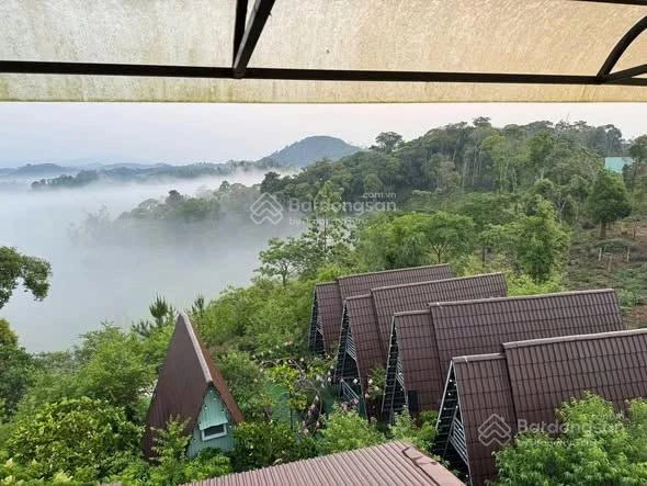 Chính chủ cần bán nhà + Homestay Memory tại TT Măng Đen, Quảng Ngãi (Huyện Kon Plông, Kon Tum cũ) - Ảnh thu nhỏ 5