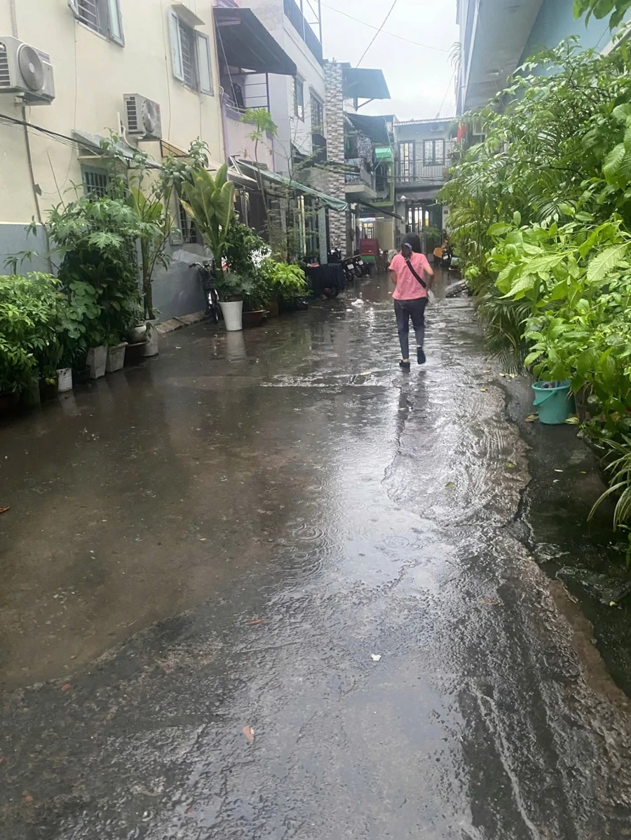 Bán nhà hẻm xe hơi Quận 10, 31m², 3 tỷ 800 - Ảnh 1