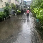 Bán nhà hẻm xe hơi Quận 10, 31m², 3 tỷ 800 - Ảnh thu nhỏ 1