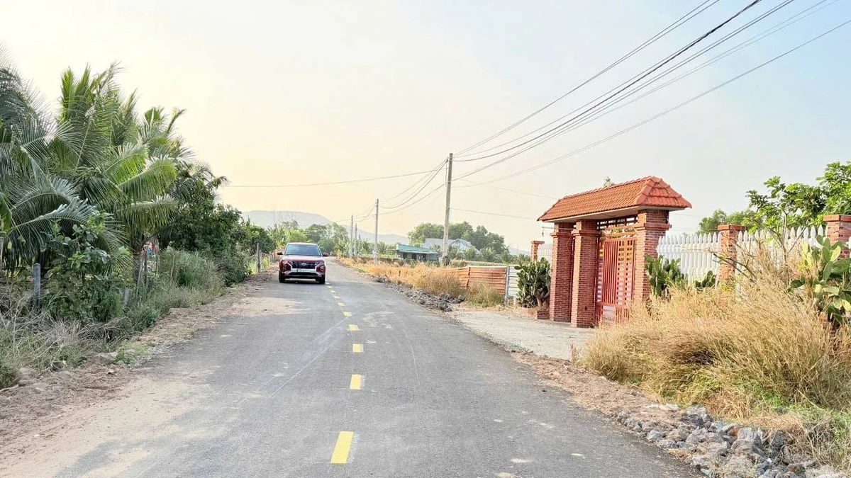 Bán đất 1000m2 ở thị trấn Phước Hải, Khánh Hòa, 4,2 tỷ - Ảnh thu nhỏ 3