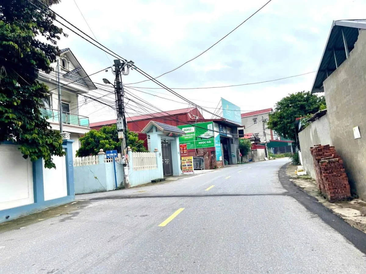 Bán đất 100m² Minh Phú Sóc Sơn 1,6 tỷ - Ảnh thu nhỏ 2