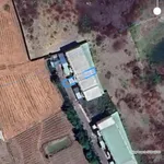 Bán nhà đất 116m² đất ở lâu dài tại Long Hoà, Cần Đước, Long An, cách TPHCM 20 phút xe máy - Ảnh thu nhỏ 7